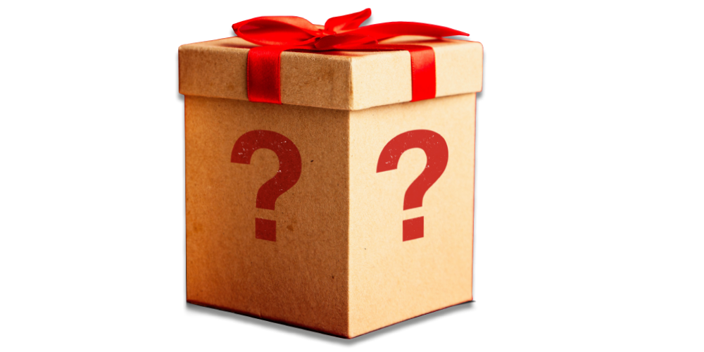 The 'Perfect Gift' Mystery Box - Gifts